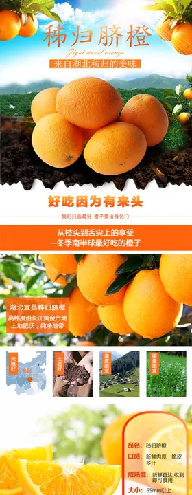 秭归脐橙详情图