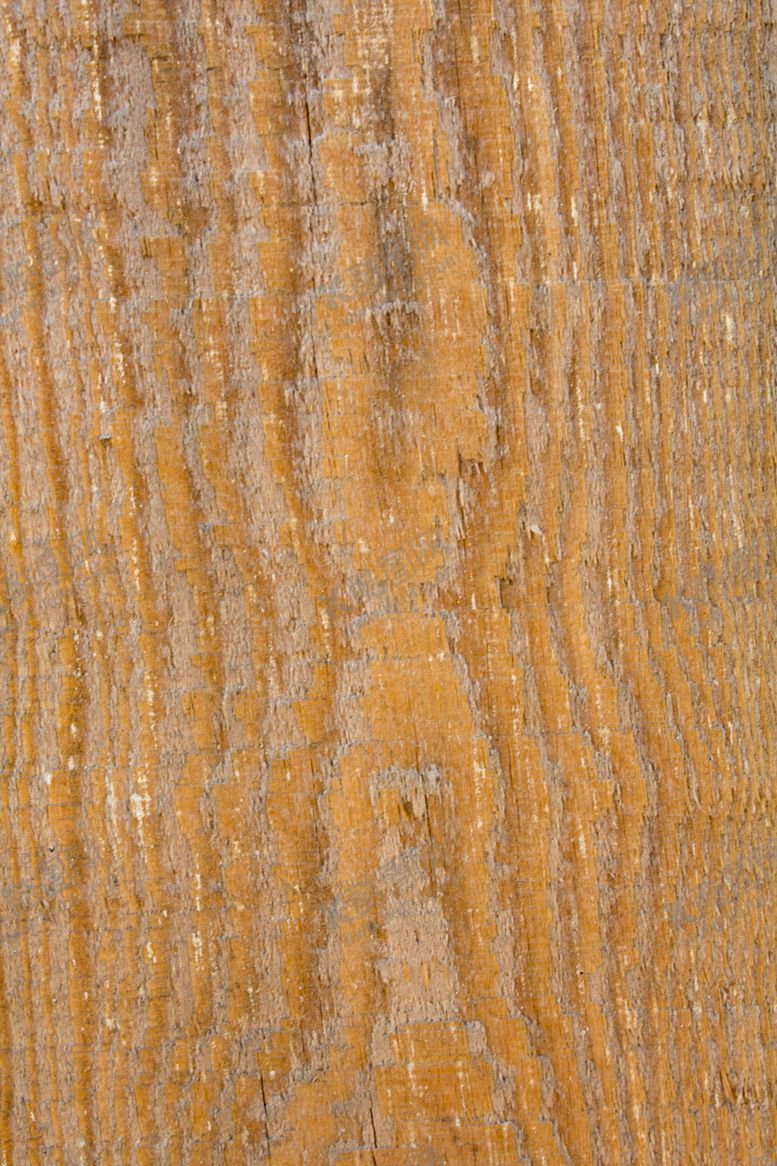 编号：47691109151145393254【酷图网】源文件下载-树皮