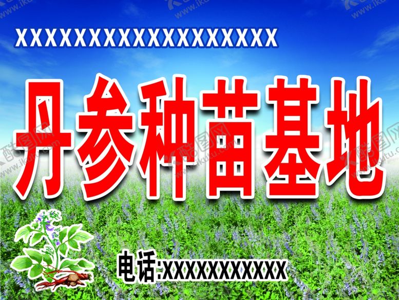 编号：58613202040704272560【酷图网】源文件下载-丹参种苗种植基地