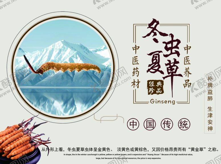 编号：78026804051117289659【酷图网】源文件下载-冬虫夏草宣传图