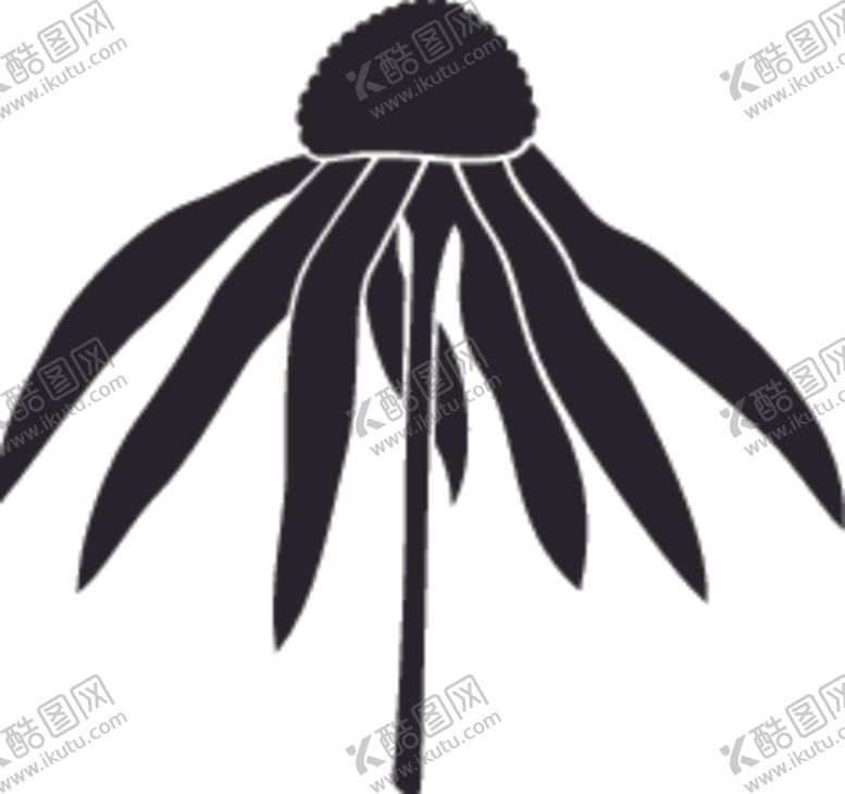 编号：63791209100000312284【酷图网】源文件下载-植物花卉系列花卉