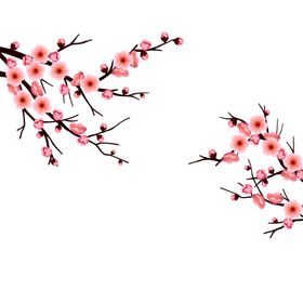 桃花素材