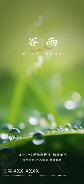 谷雨节气海报露珠水滴树叶