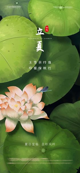 立夏节气系列海报