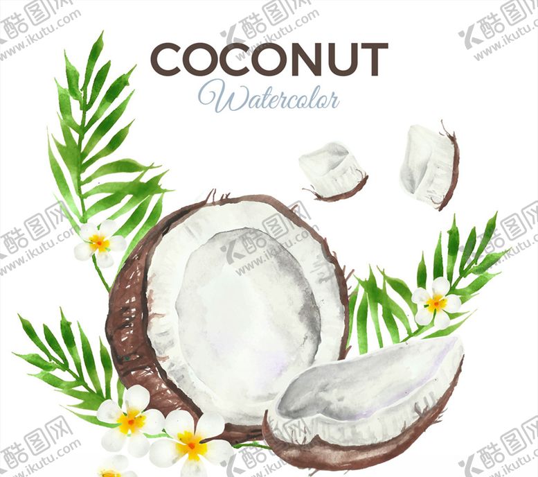 编号：62078810042021374416【酷图网】源文件下载-彩绘打开的椰子和鸡蛋花