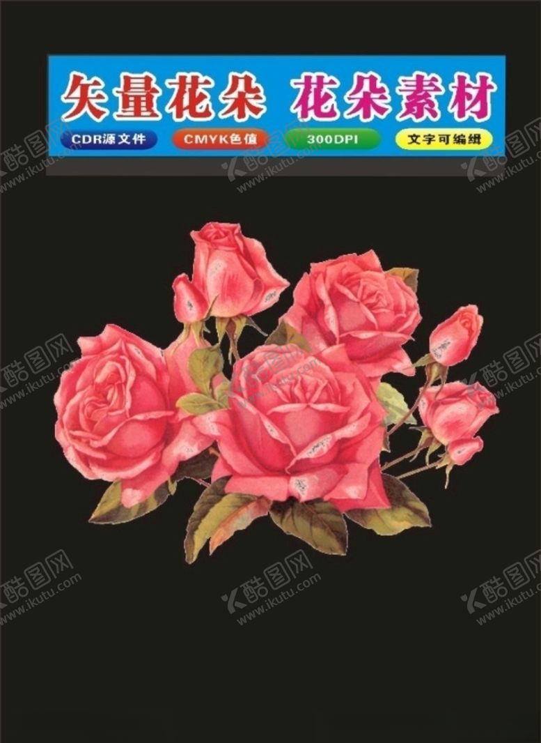 编号：31751010300920464404【酷图网】源文件下载-花和植物花