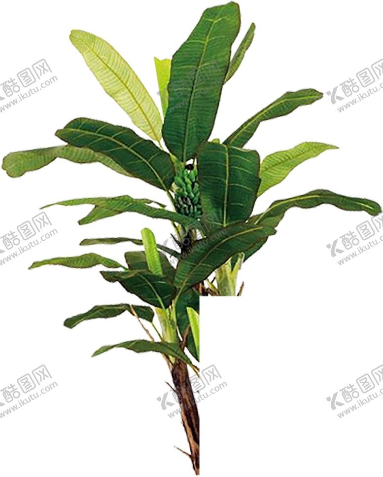 编号：51315710152109309785【酷图网】源文件下载-水果