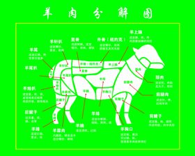 羊肉分解图