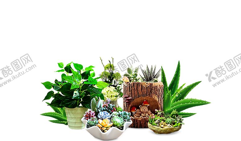 编号：17726210140743104176【酷图网】源文件下载-绿色植物