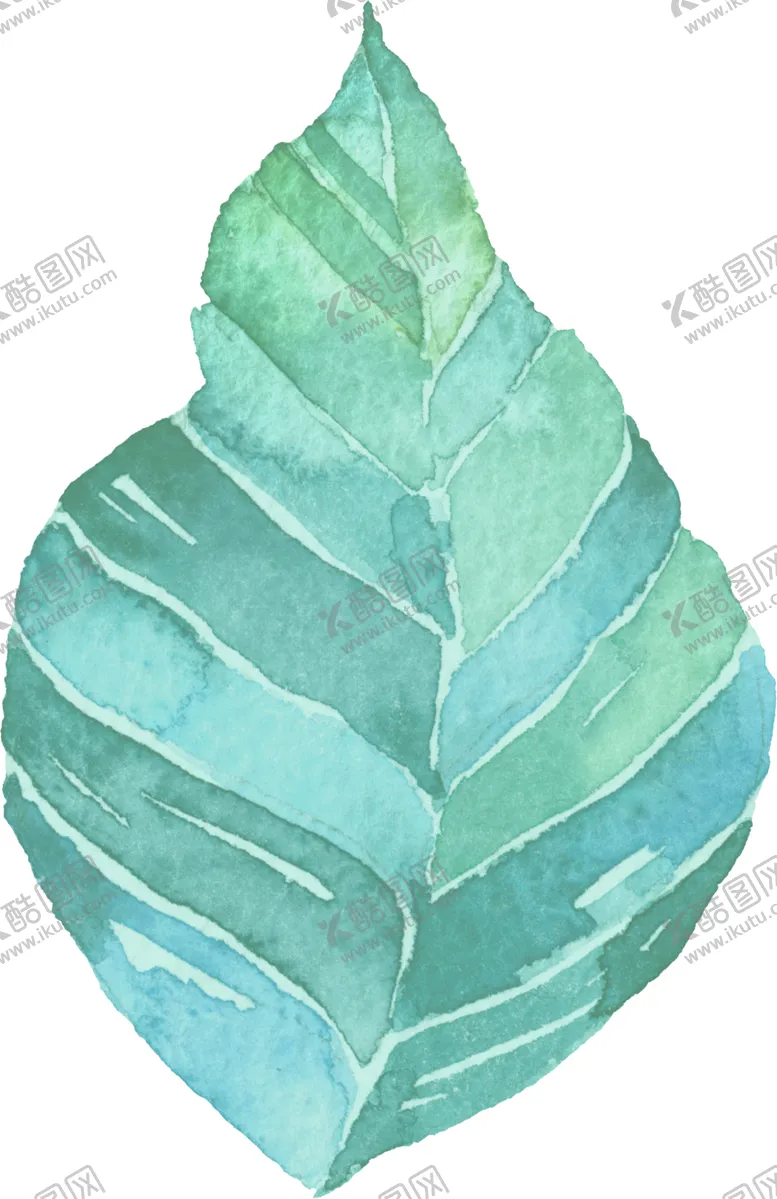 编号：40236206250113533531【酷图网】源文件下载-水彩手绘花卉花朵植物