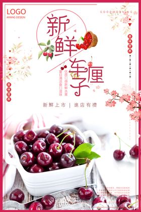 清新中国风樱桃车厘子水果海报