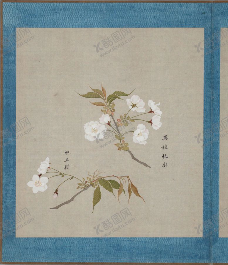 编号：16453606250339316388【酷图网】源文件下载-樱花