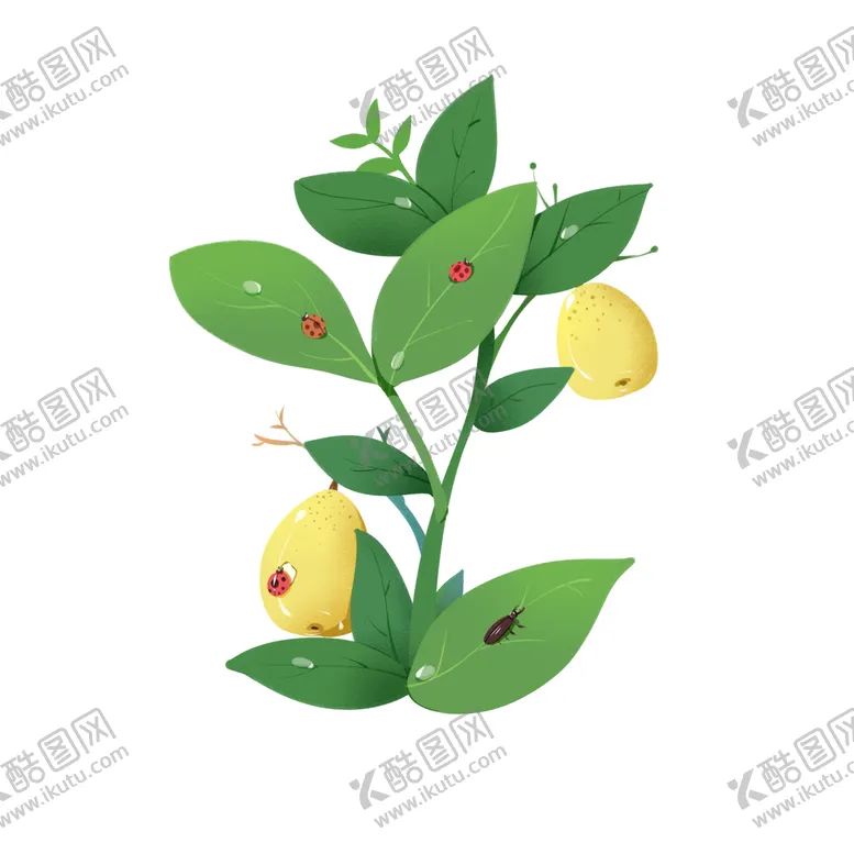 编号：41763009251653134897【酷图网】源文件下载-惊蛰节气嫩芽春梨瓢虫