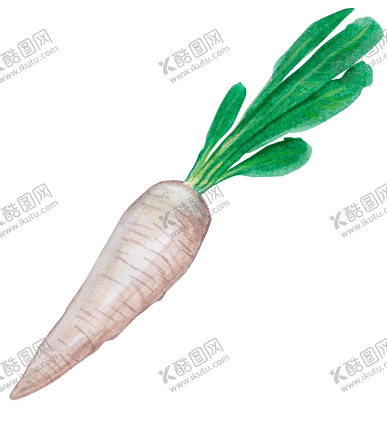 编号：54015410191632546852【酷图网】源文件下载-手绘彩色蔬菜免扣素材图片