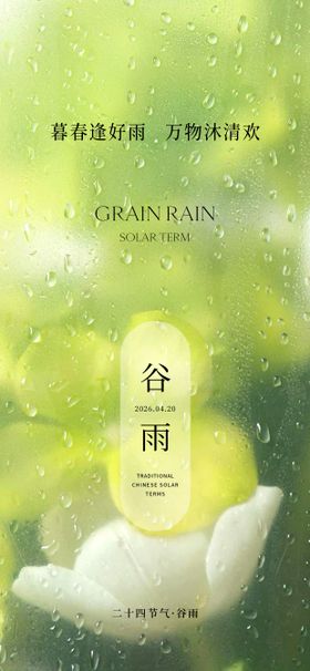 简约谷雨节气海报