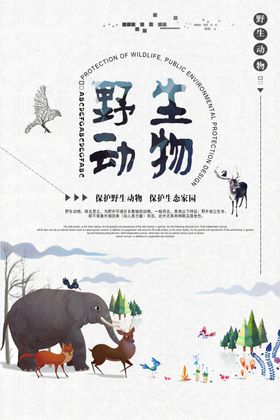 保护野生动物