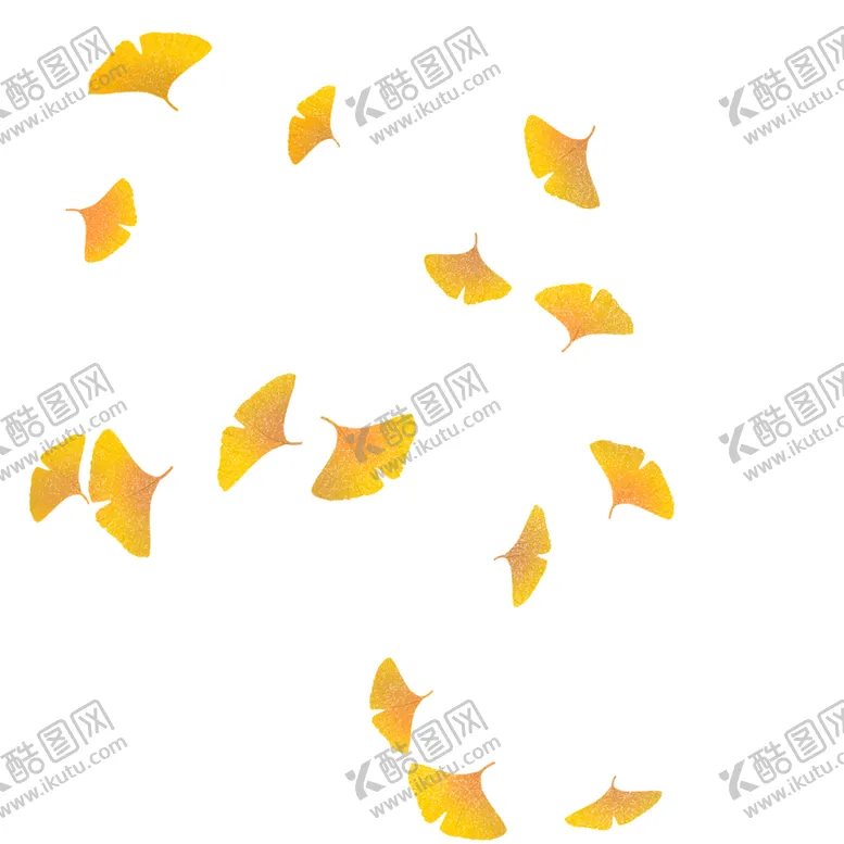 编号：34808004270743183163【酷图网】源文件下载-秋天银杏叶
