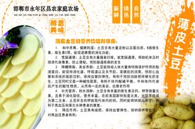 学校食堂蔬菜介绍