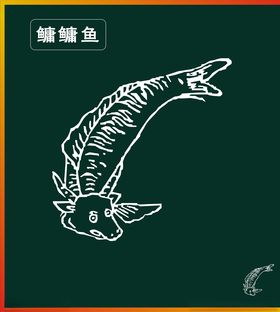 钓鱼饵料鲢鳙