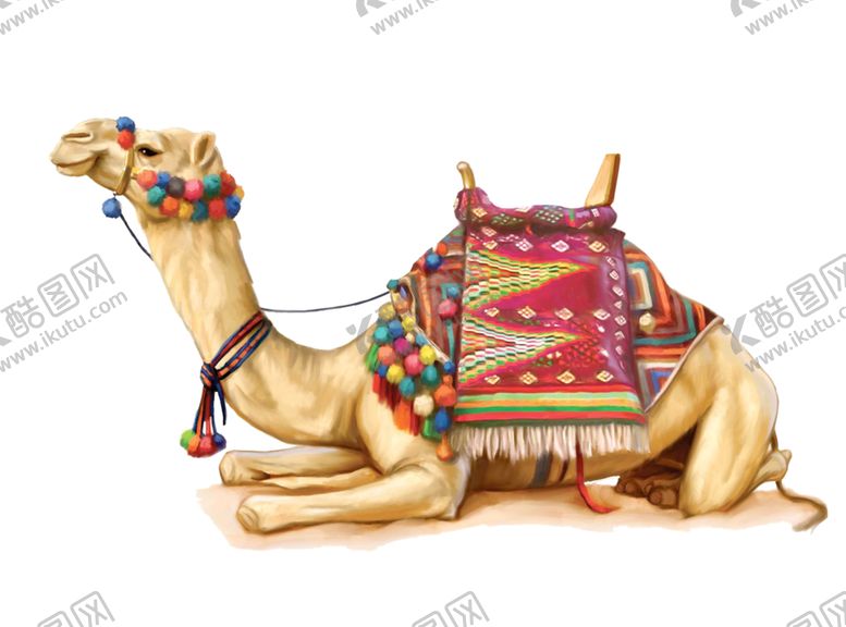 编号：61253710070837549531【酷图网】源文件下载-骆驼