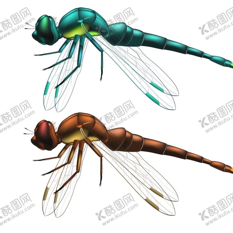 编号：31434810022017548743【酷图网】源文件下载-蜻蜓