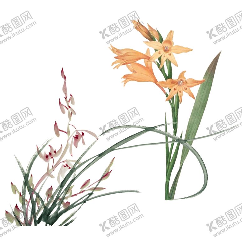 编号：86442004191740481821【酷图网】源文件下载-花叶