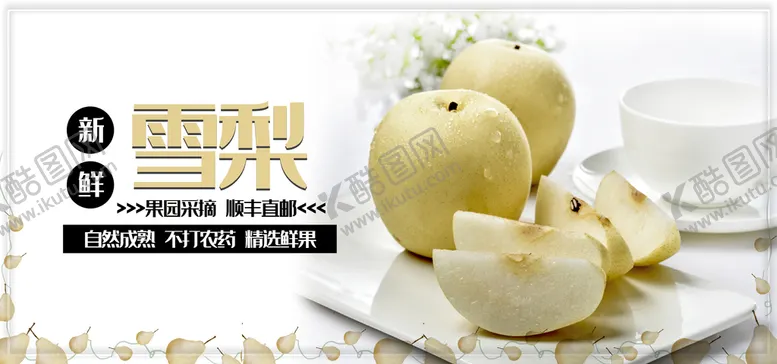 编号：23019509191536445648【酷图网】源文件下载-雪梨