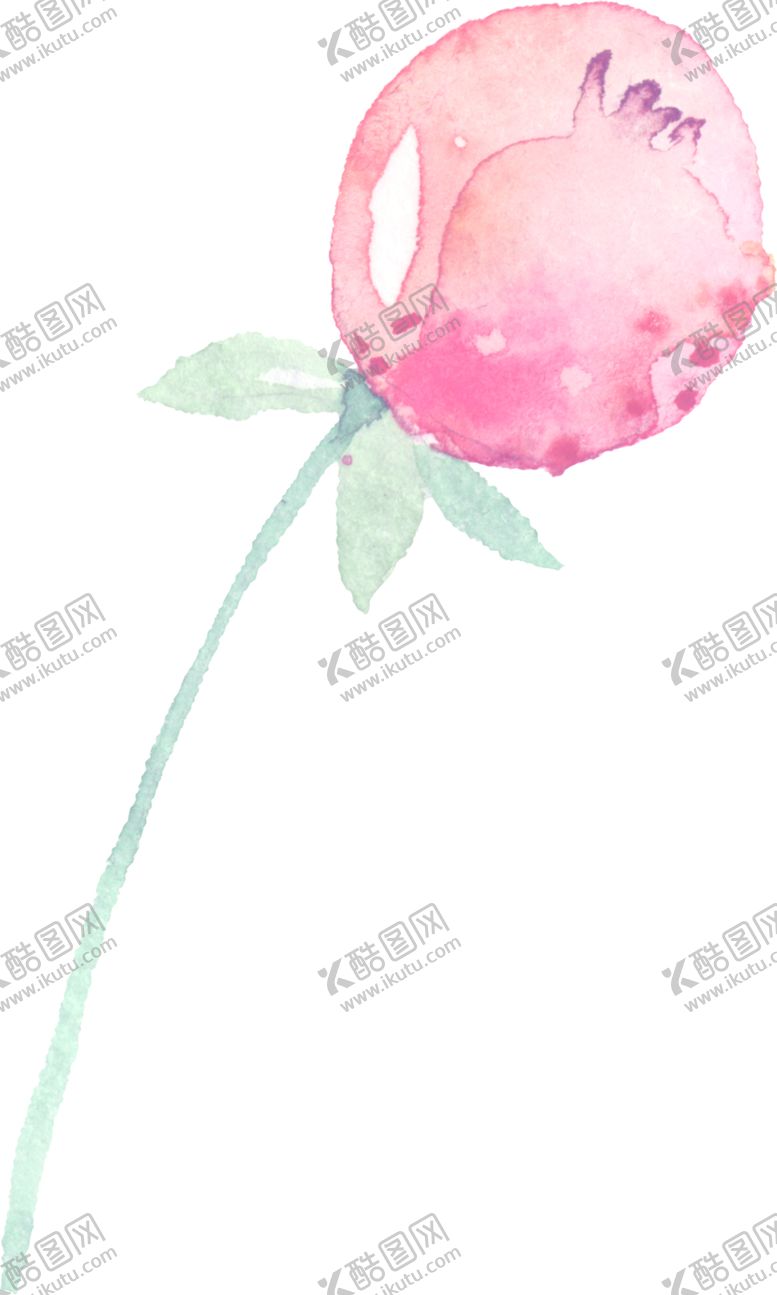 编号：35928605142126127039【酷图网】源文件下载-水彩手绘花卉花朵植物