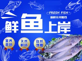 鲜鱼上岸
