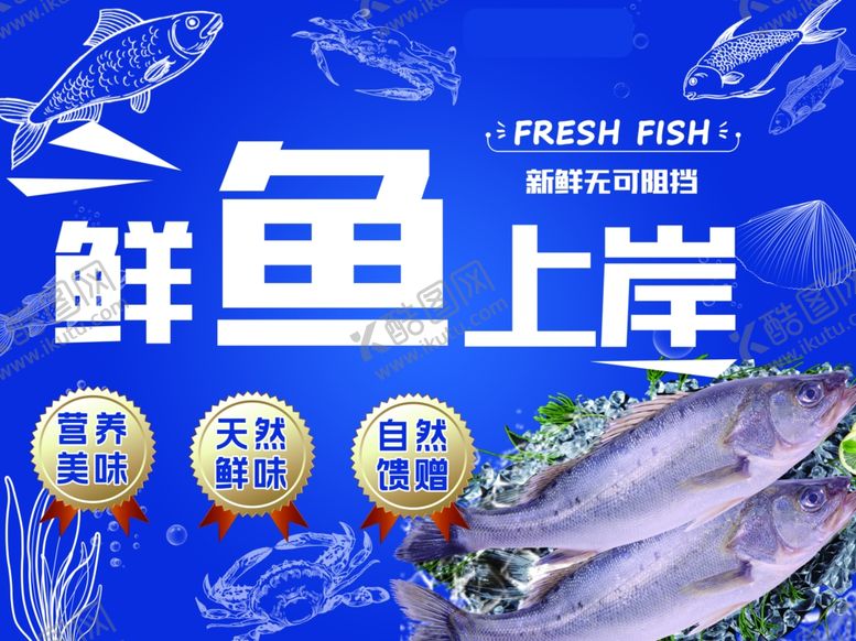 编号：67269704052035293813【酷图网】源文件下载-鲜鱼上岸