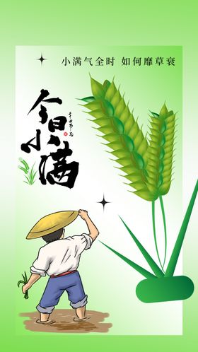 小满活动宣传节气海报