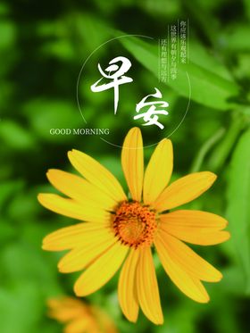 早安推送追梦餐自然