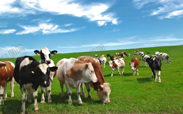 编号：67553810090459453345【酷图网】源文件下载-草原素材图片