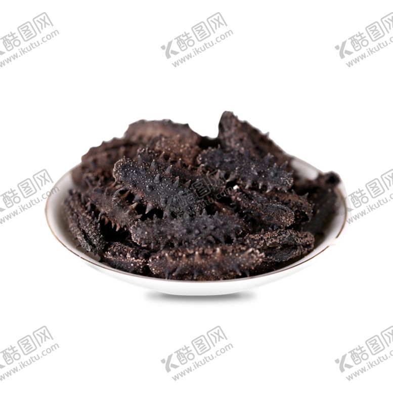 编号：51186201151507211989【酷图网】源文件下载-海参