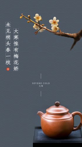 大寒微信海报飞机稿节气小地产刷屏