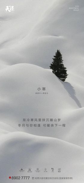 地产小寒大气雪景意境海报