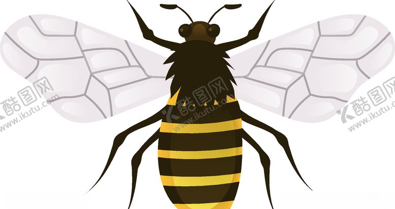 编号：92807509202255339196【酷图网】源文件下载-蜜蜂