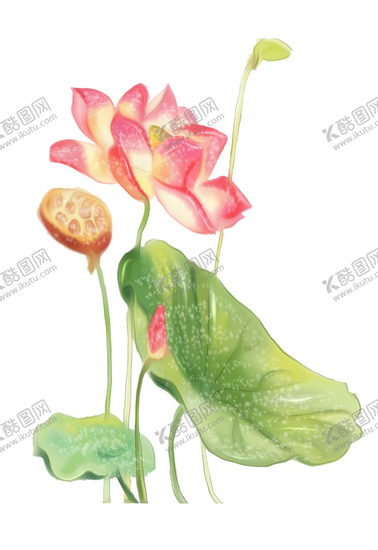 编号：53615005091630291155【酷图网】源文件下载-荷花元素