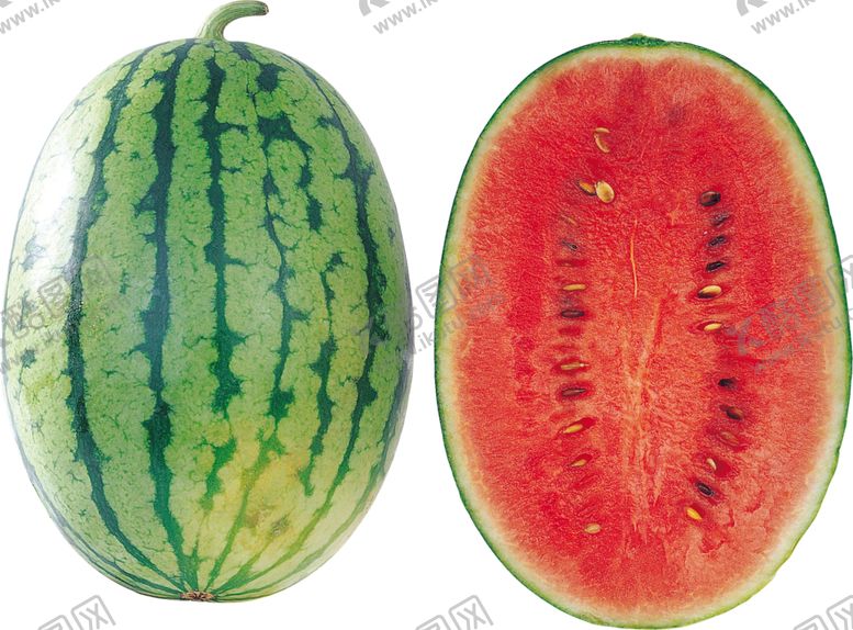编号：82108509251751373260【酷图网】源文件下载-西瓜