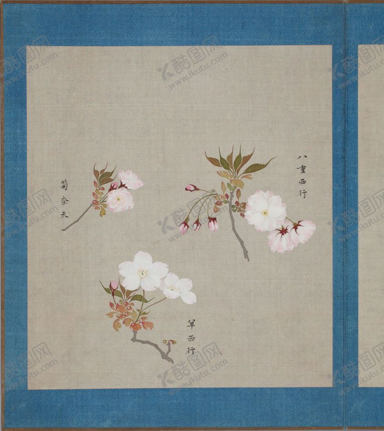 编号：62125104070544392094【酷图网】源文件下载-樱花