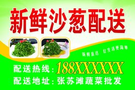 沙葱广告