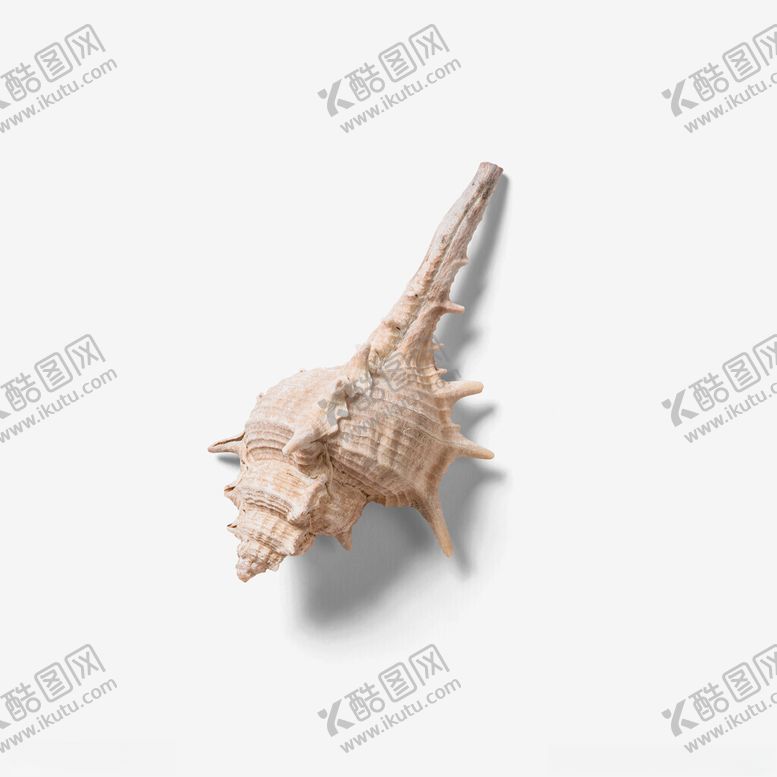编号：59991702211959178274【酷图网】源文件下载-贝壳