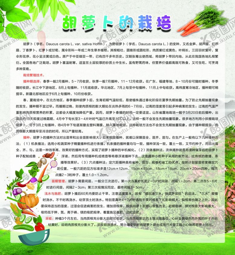 编号：22904009221513385036【酷图网】源文件下载-胡萝卜的栽培