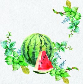 水彩水果插画