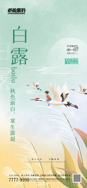 白露海报