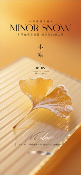 地产小寒质感海报