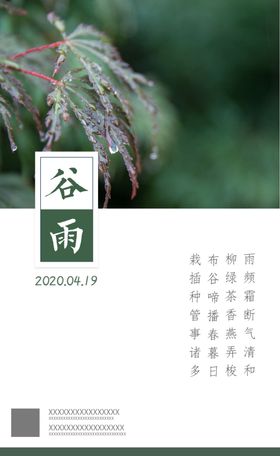 谷雨雨后二十四节气传统时