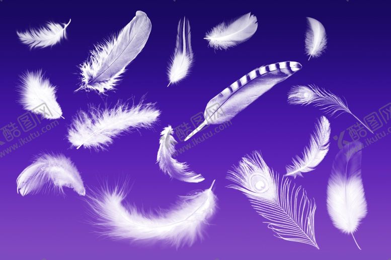 编号：56060009171126365342【酷图网】源文件下载-羽毛形状羽毛图形