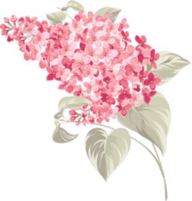 花卉