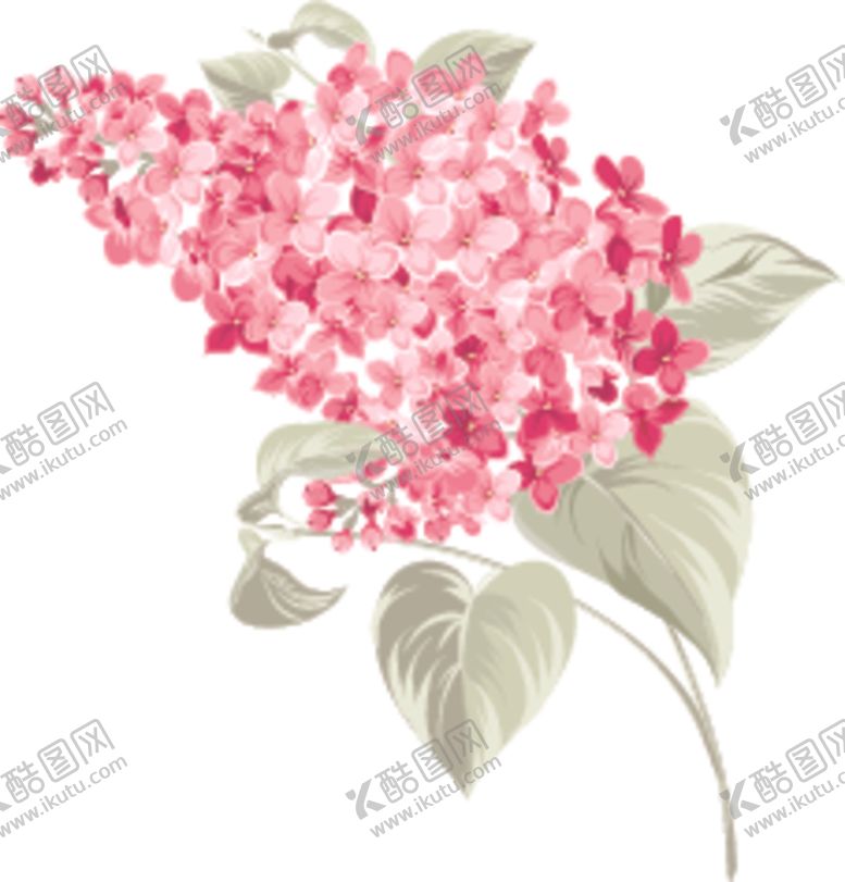 编号：87835606302146109489【酷图网】源文件下载-花卉